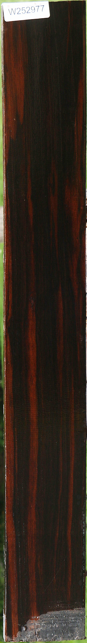 Ceylon Ebony Instrument Lumber
