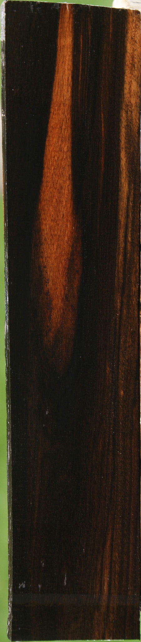 Ceylon Ebony Lumber
