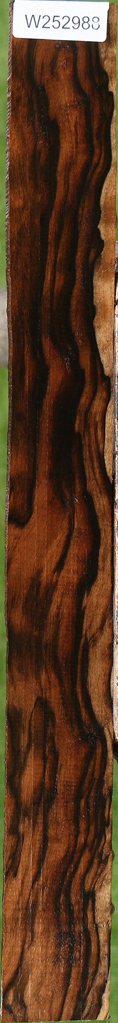 Extra Fancy Ceylon Ebony Lumber