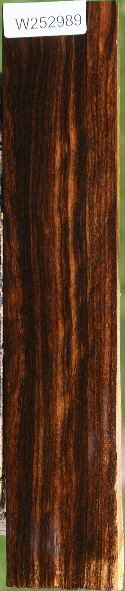 Figured Ceylon Ebony Lumber