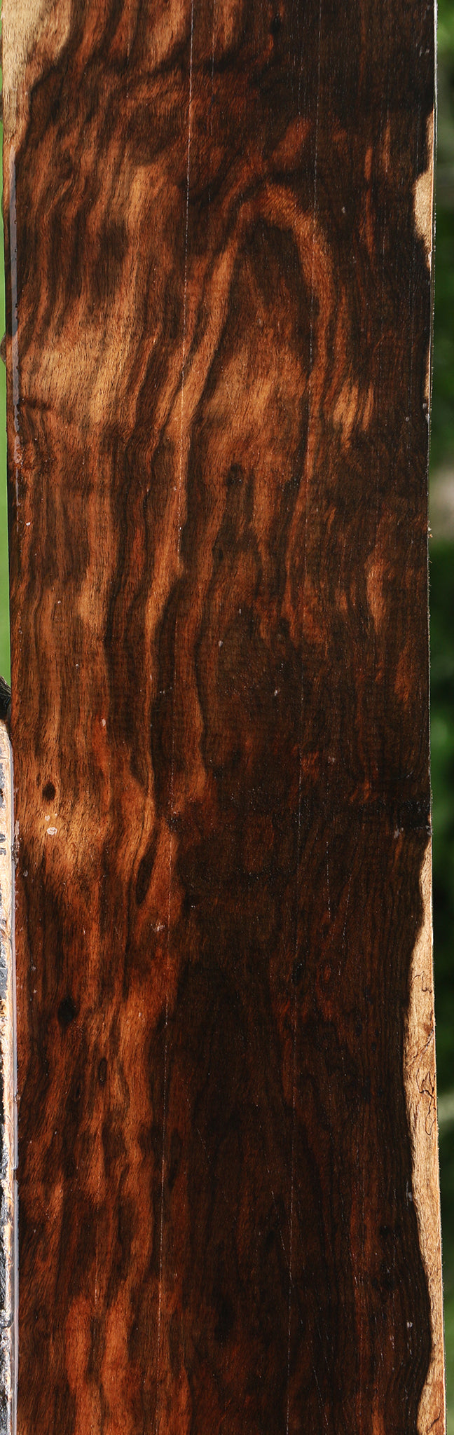Extra Fancy Ceylon Ebony Lumber