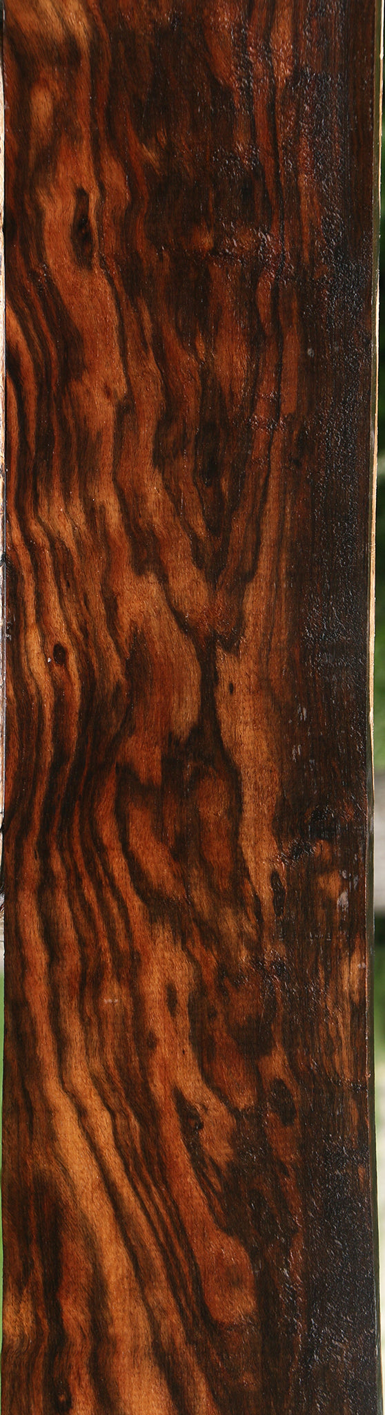Extra Fancy Ceylon Ebony Lumber