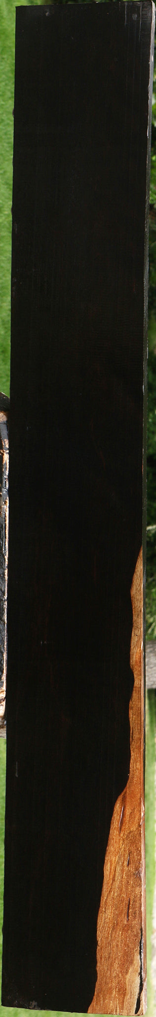 Ceylon Ebony Lumber