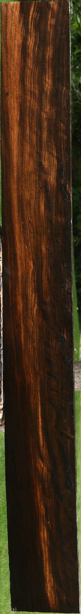 Extra Fancy Ceylon Ebony Instrument Lumber