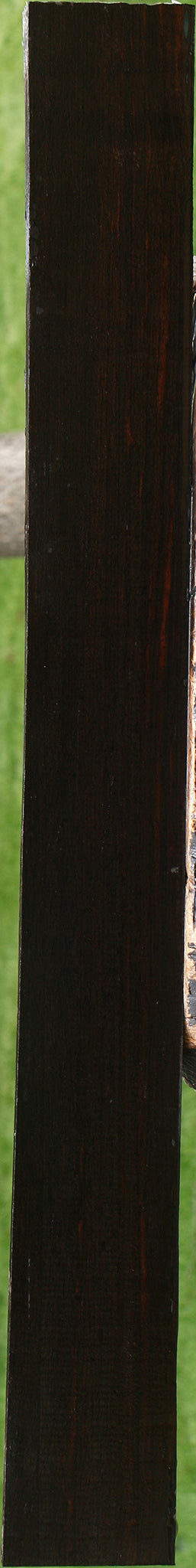 Figured Ceylon Ebony Lumber