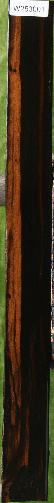 Ceylon Ebony Lumber