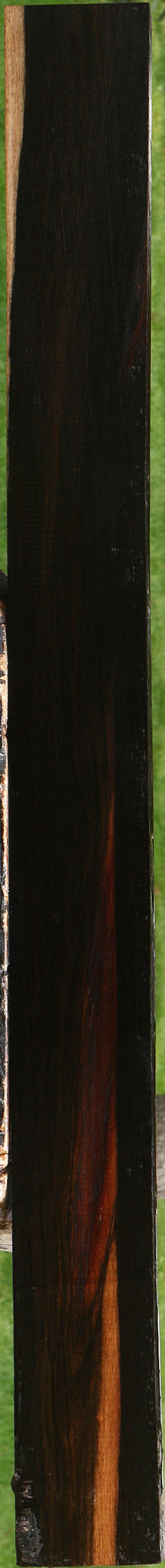 Ceylon Ebony Lumber