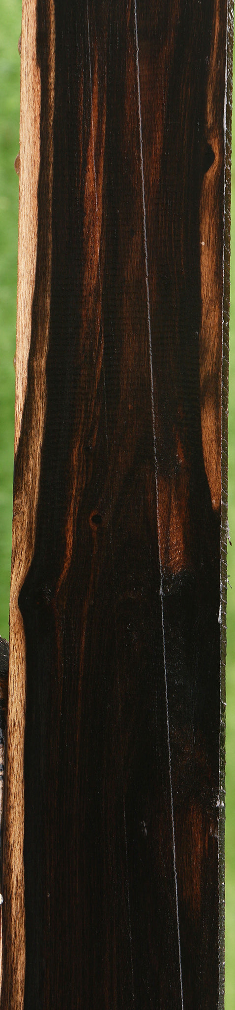 Ceylon Ebony Lumber
