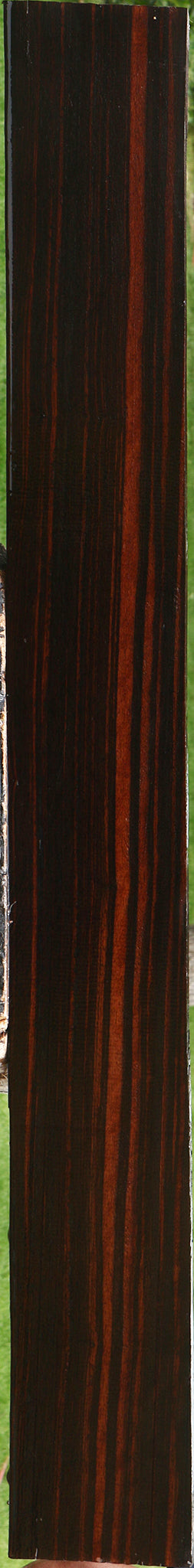 Figured Ceylon Ebony Instrument Lumber