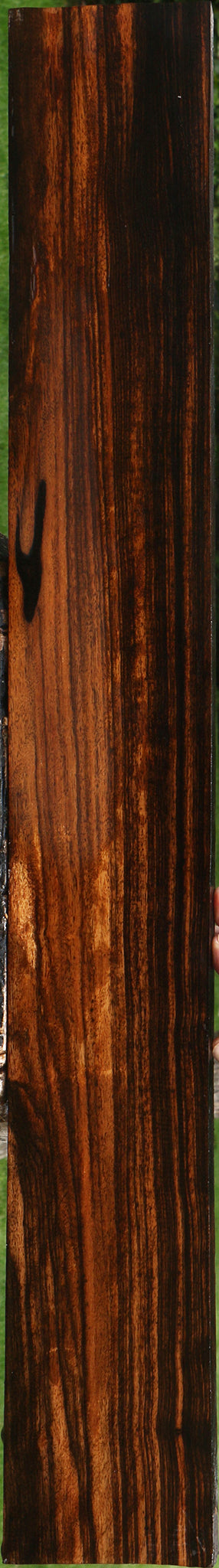 Figured Ceylon Ebony Lumber