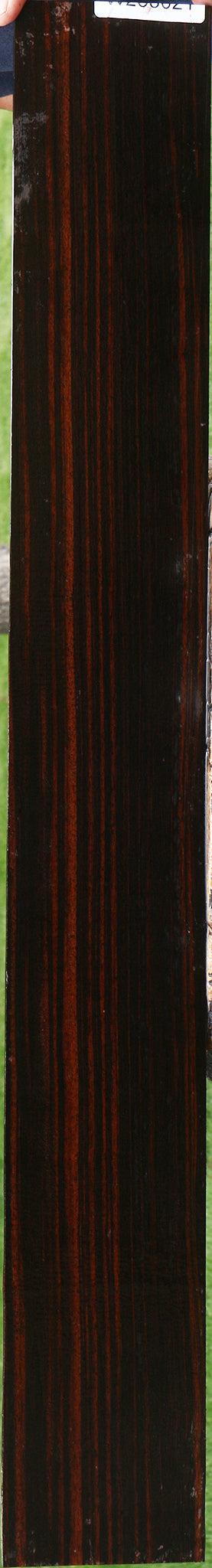 Figured Ceylon Ebony Micro Lumber