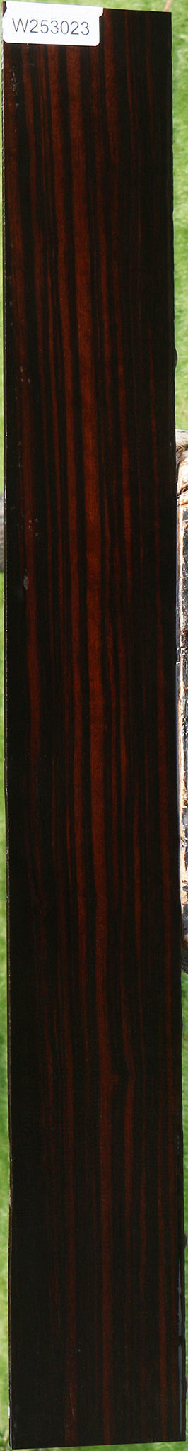 Figured Ceylon Ebony Micro Lumber