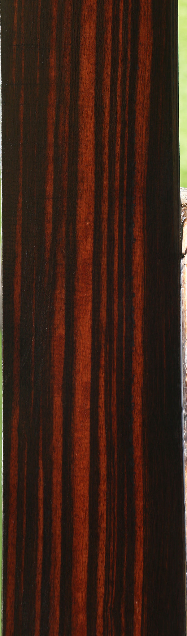 Figured Ceylon Ebony Micro Lumber