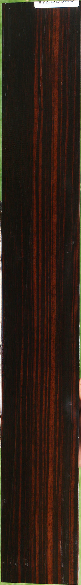 Ceylon Ebony Micro Lumber