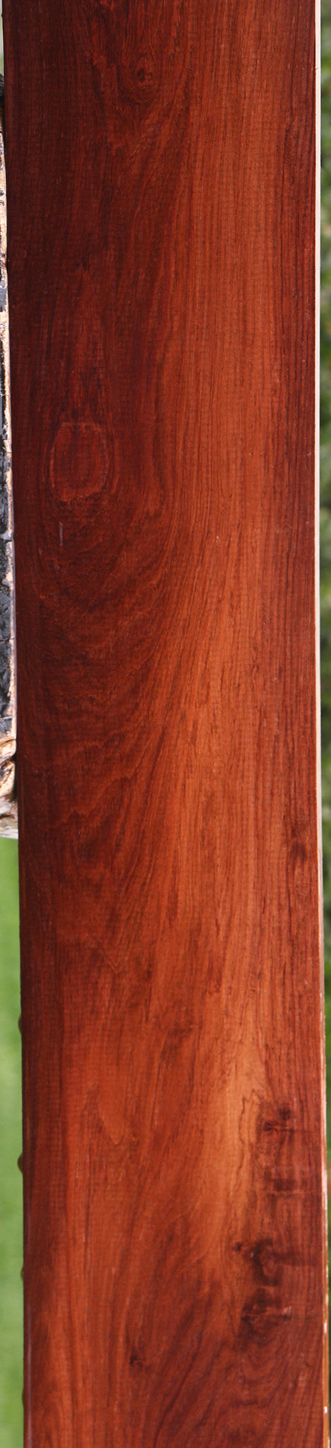 Honduras Rosewood Lumber