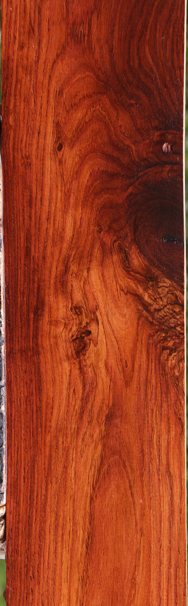 Honduras Rosewood Lumber