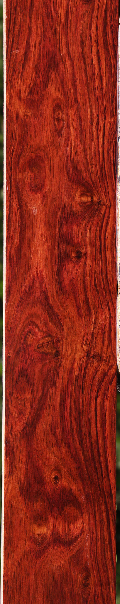 Honduras Rosewood Lumber