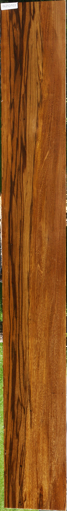 Branquilho Lumber