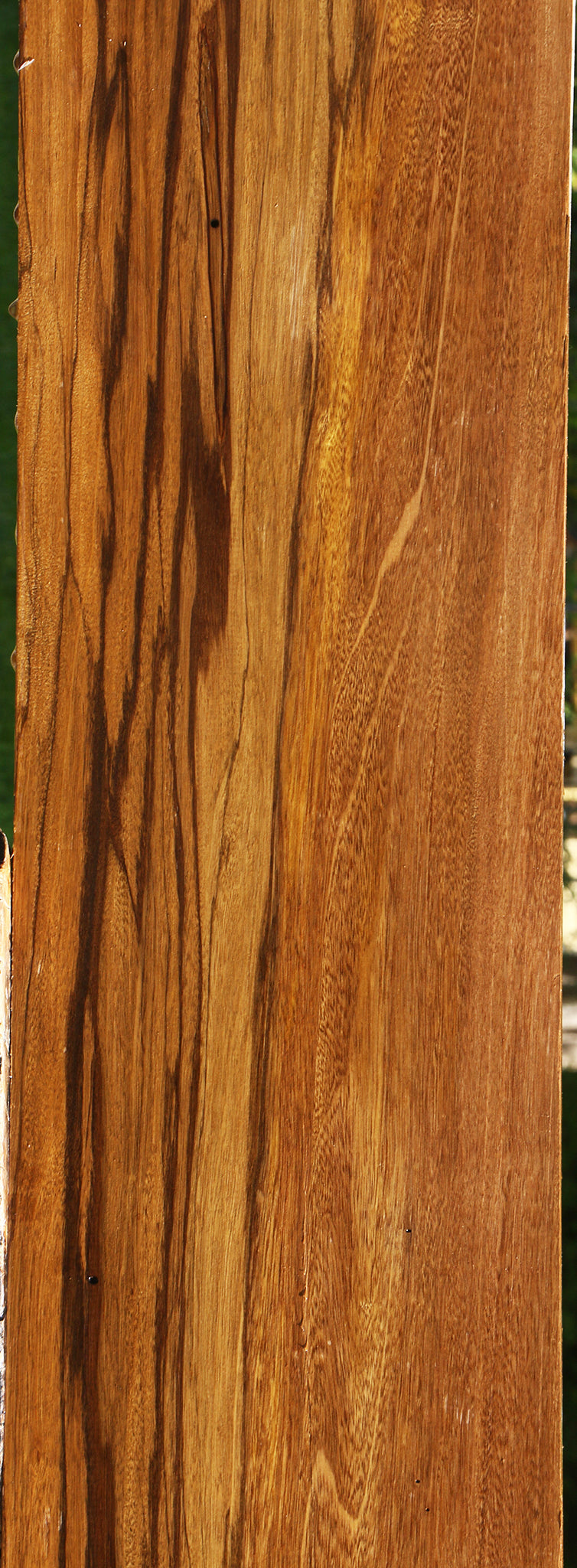 Branquilho Lumber