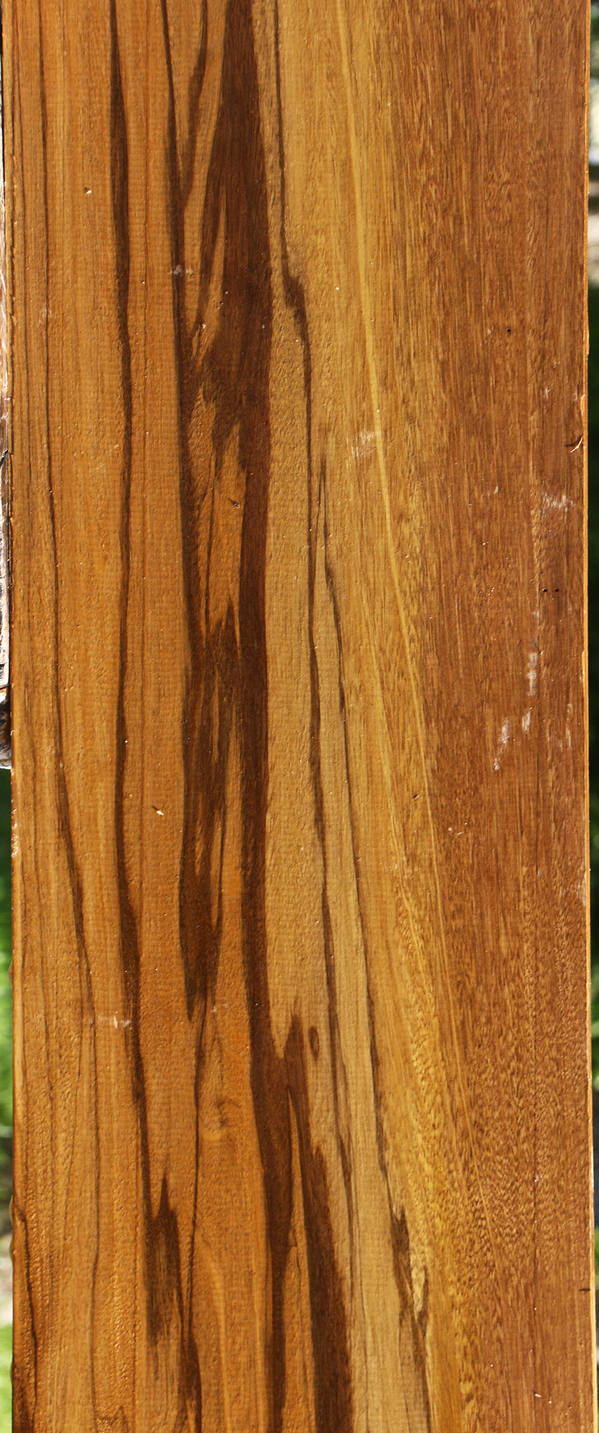 Branquilho Lumber