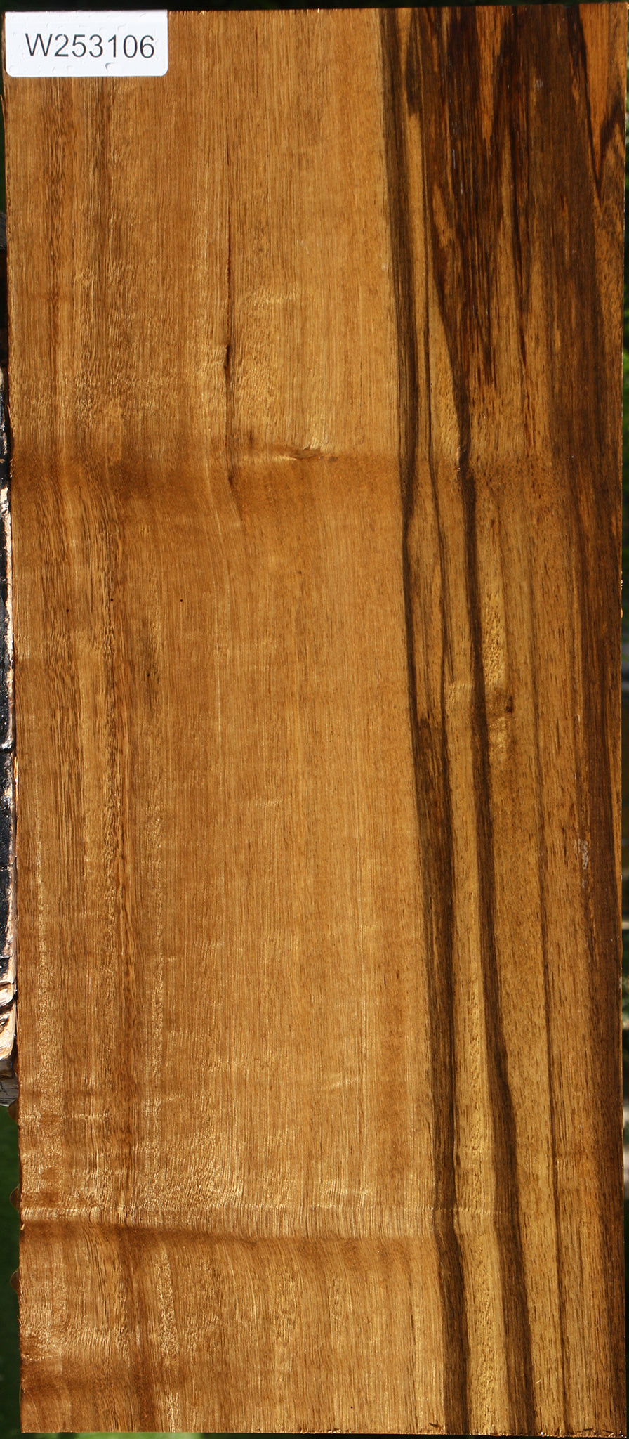 Quartersawn Branquilho Lumber