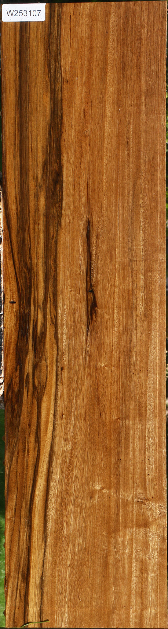 Branquilho Lumber