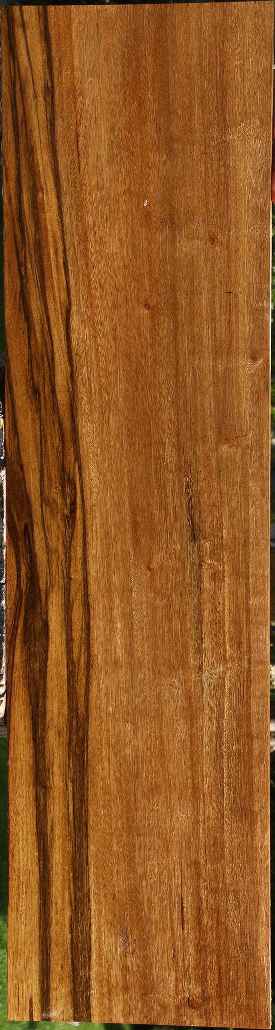 Branquilho Lumber