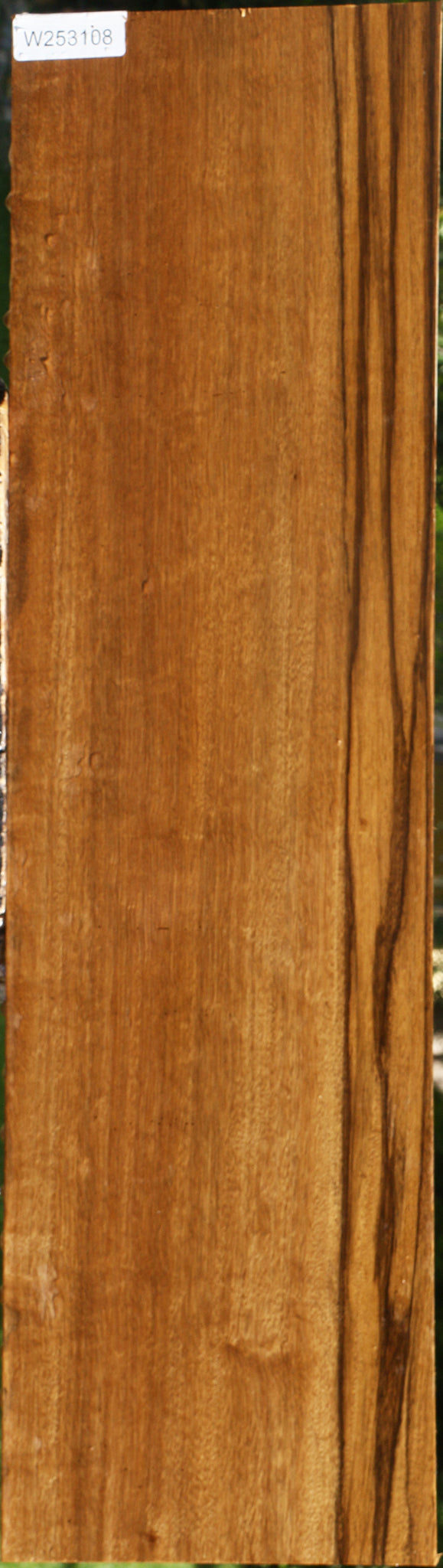 Branquilho Lumber
