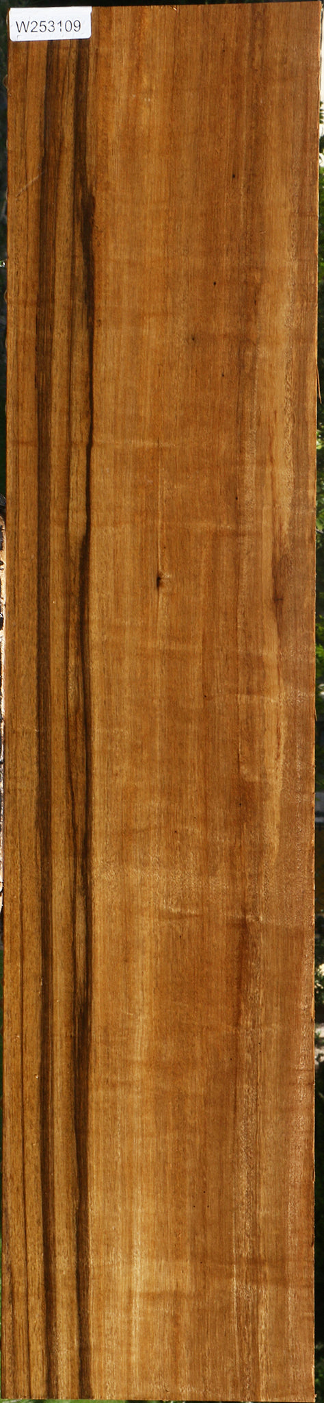 Branquilho Lumber