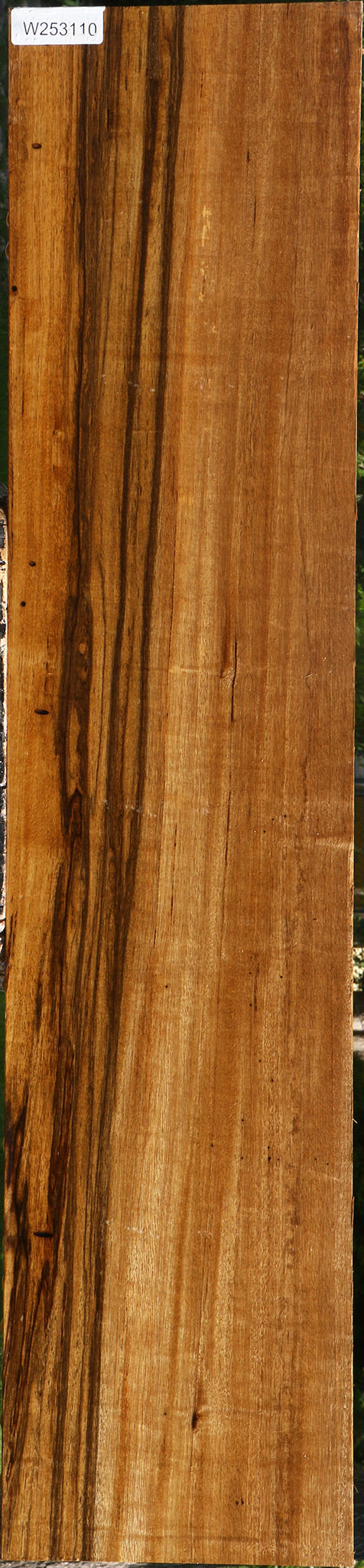 Branquilho Lumber