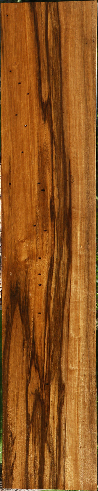 Figured Branquilho Lumber