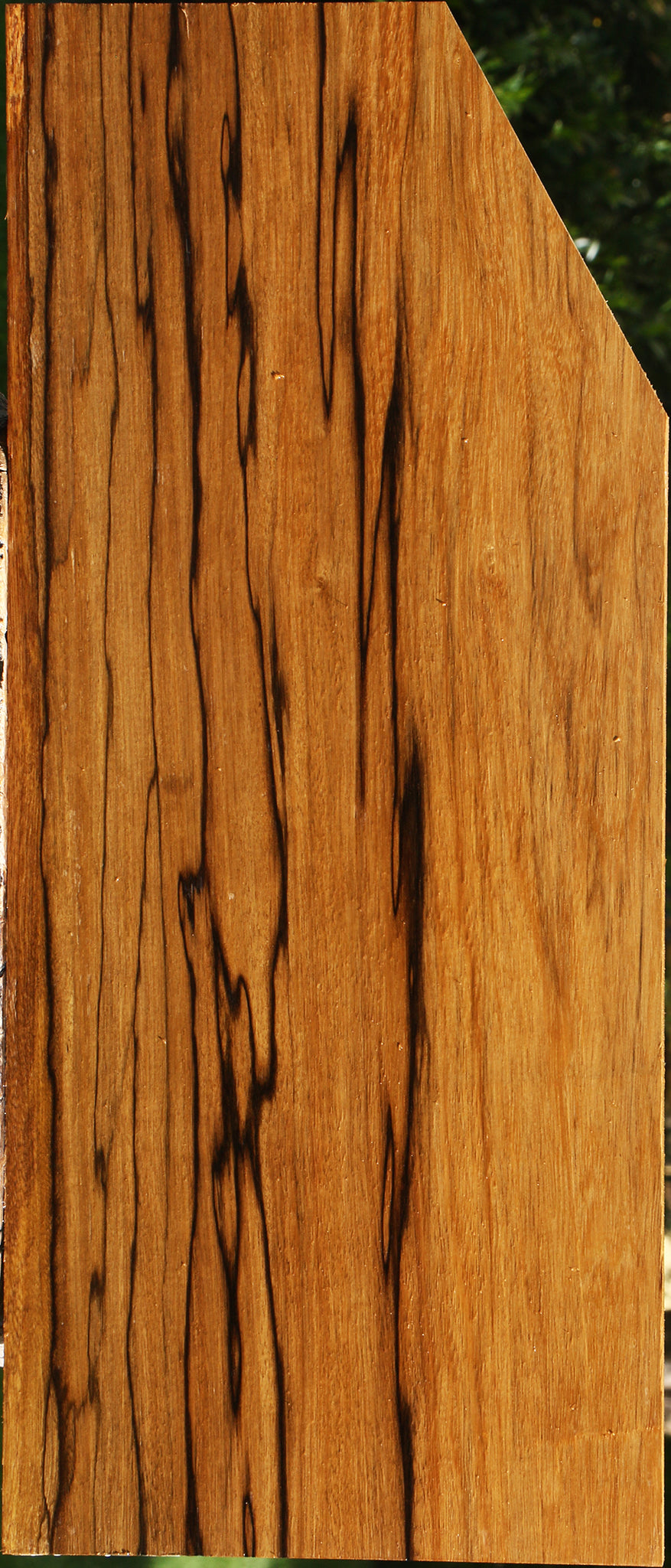 Branquilho Lumber