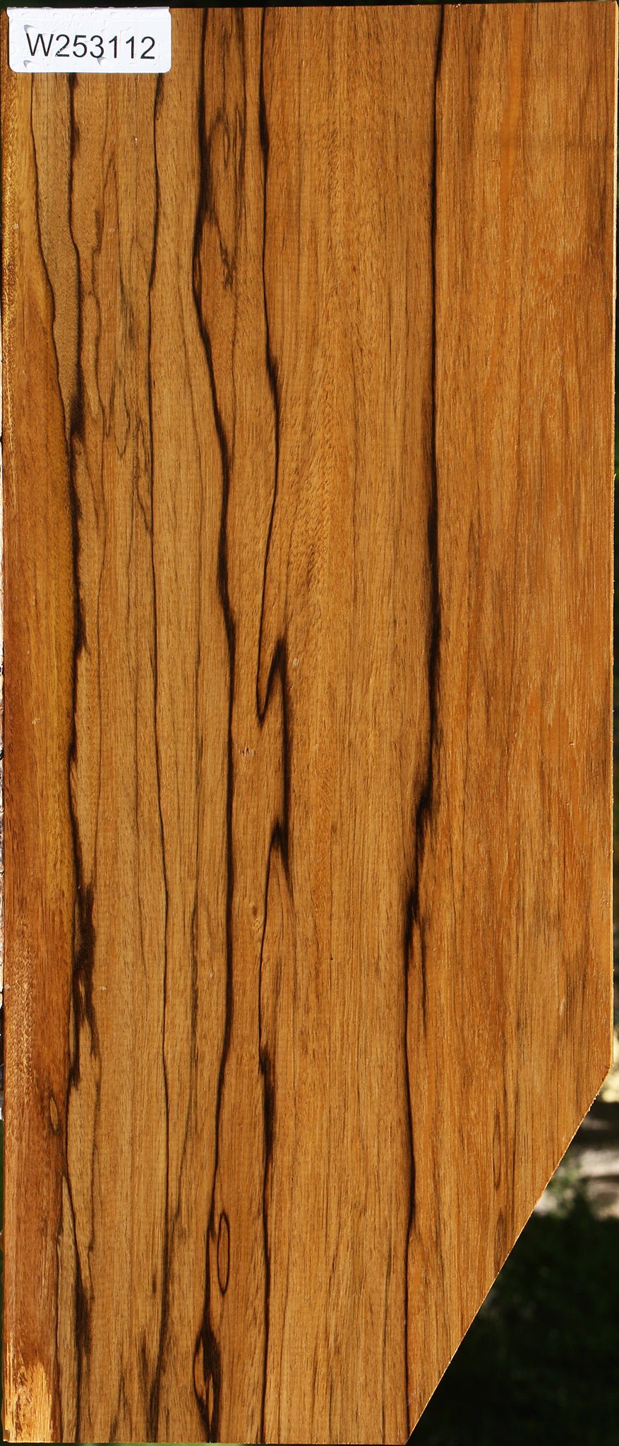 Branquilho Lumber