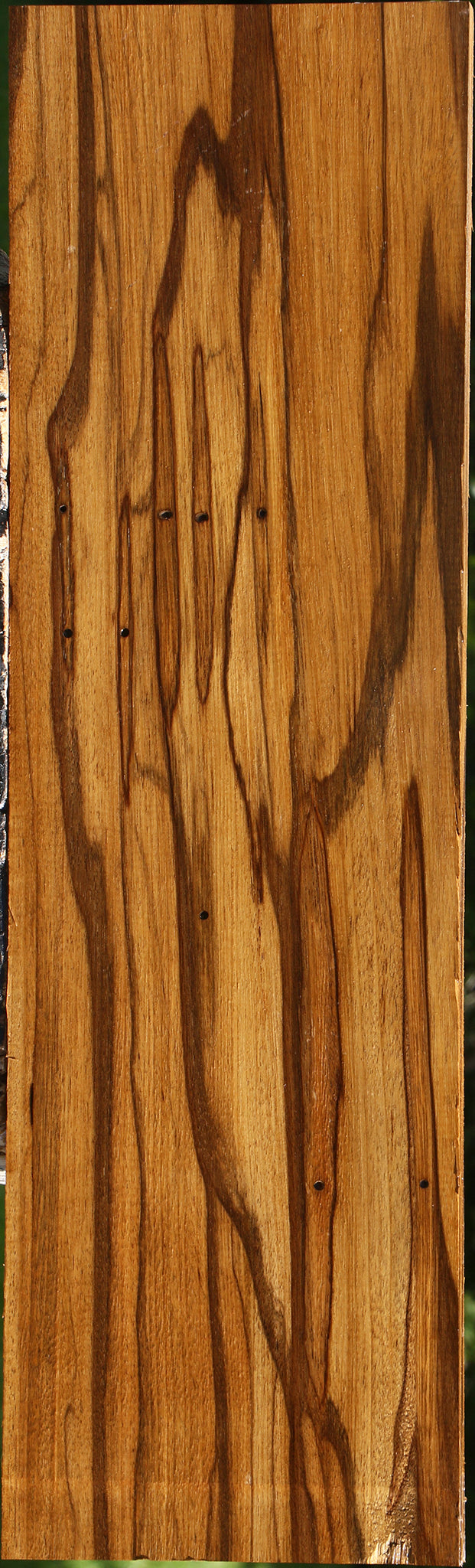 Extra Fancy Branquilho Lumber