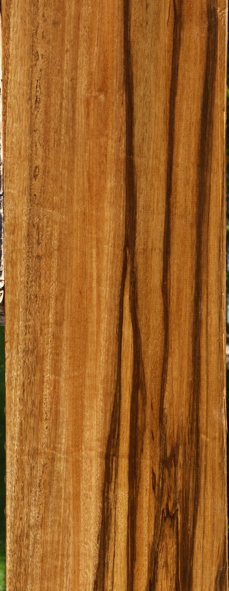 Figured Branquilho Lumber