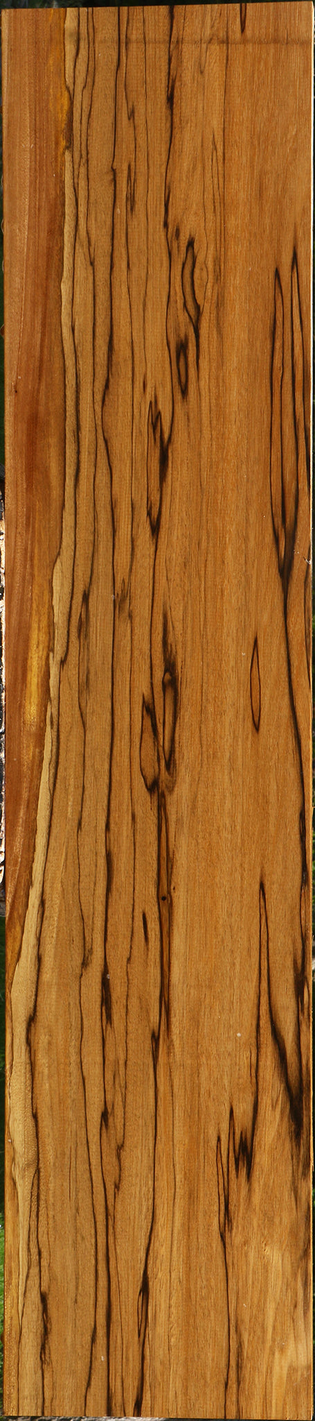 Extra Fancy Branquilho Lumber