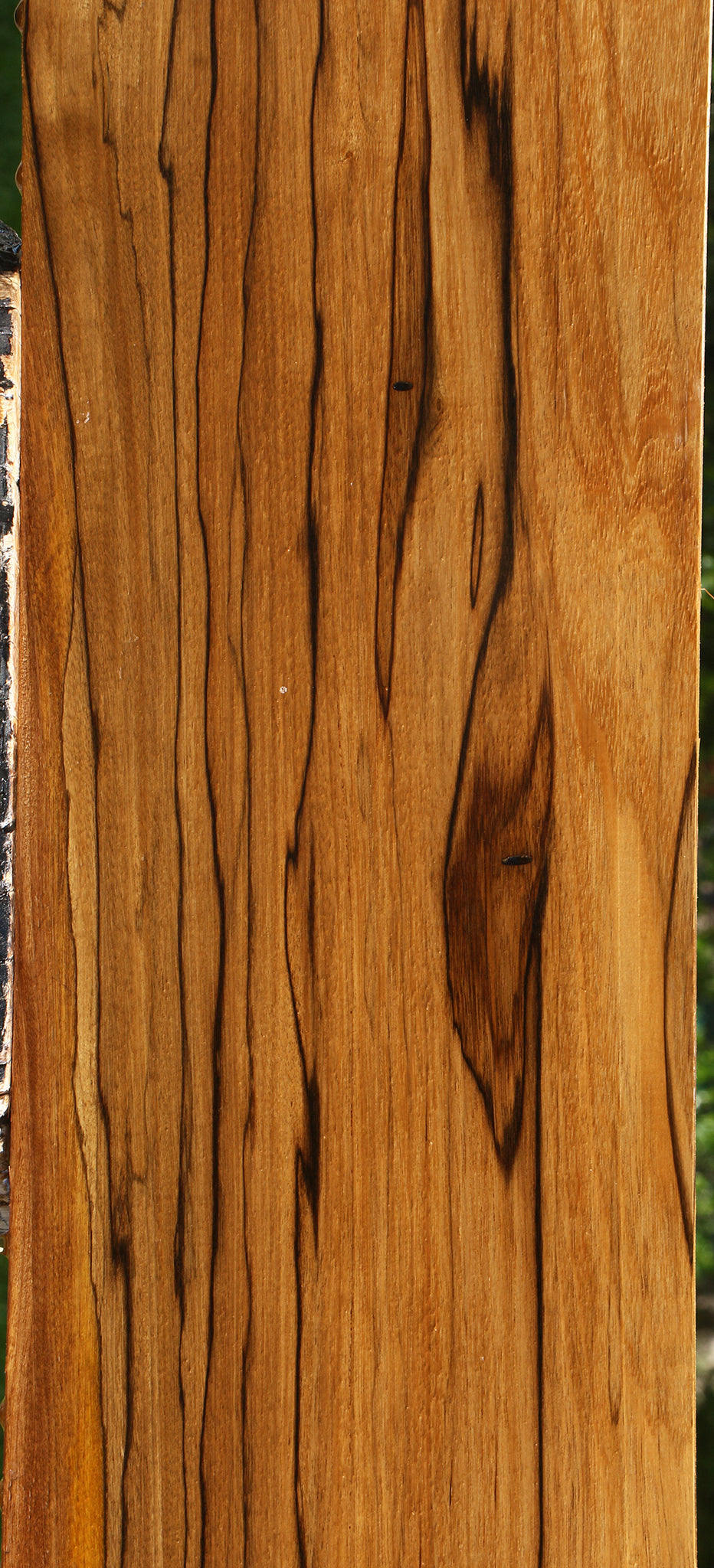 Extra Fancy Branquilho Lumber