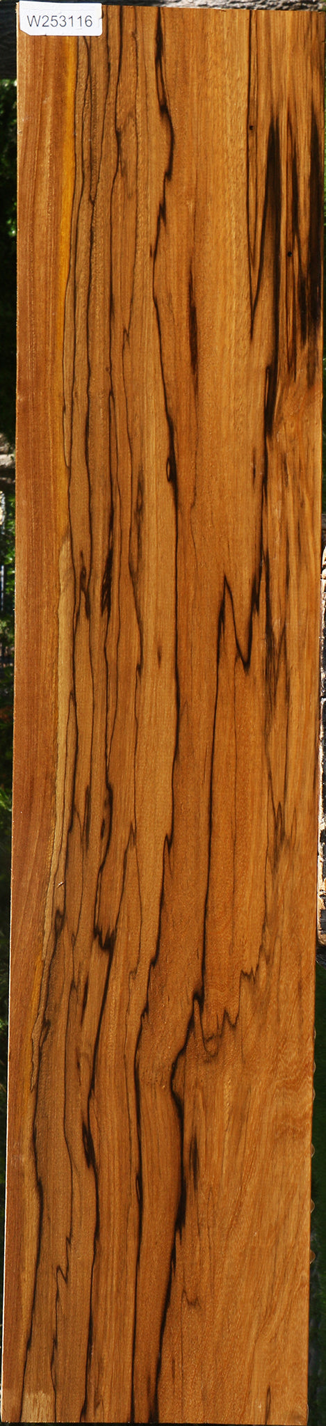 Extra Fancy Branquilho Lumber