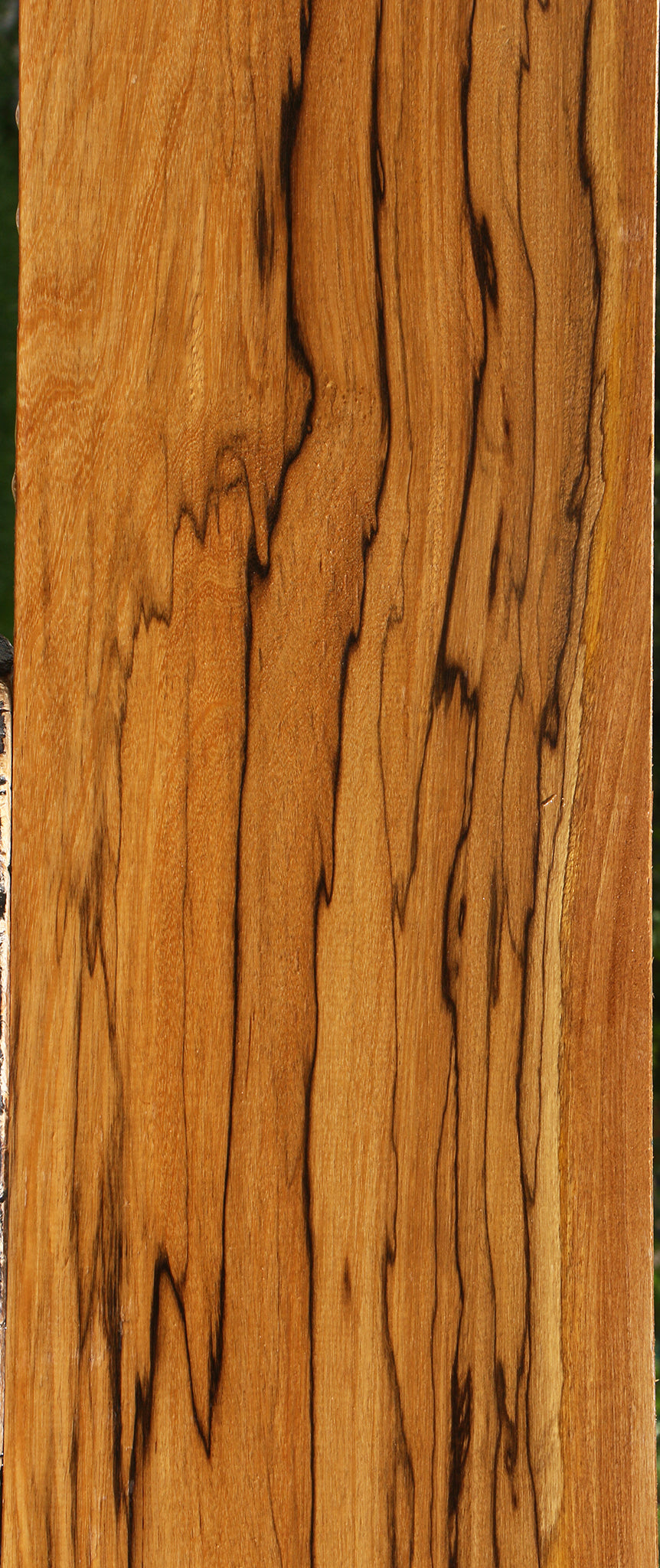 Extra Fancy Branquilho Lumber