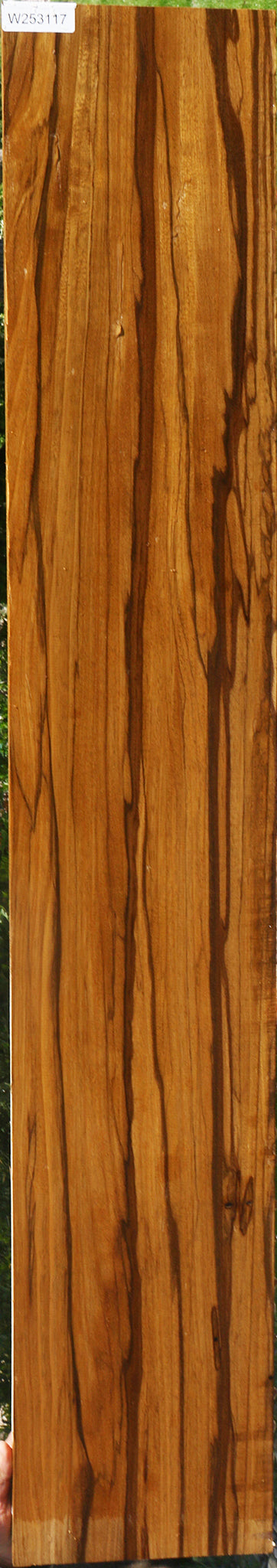 Branquilho Lumber