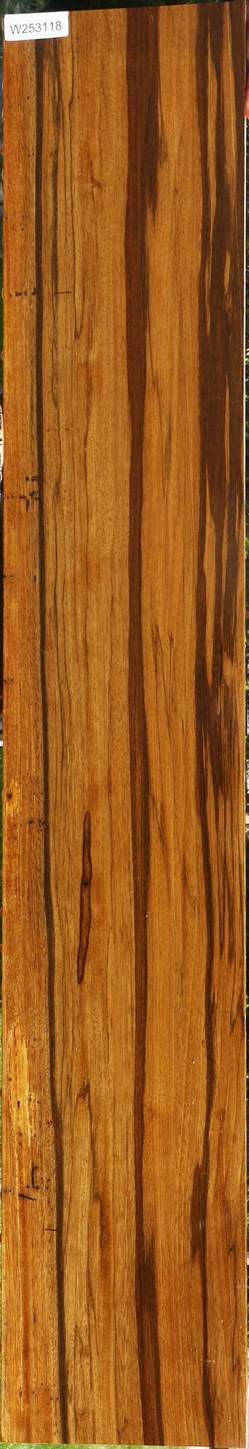 Branquilho Lumber