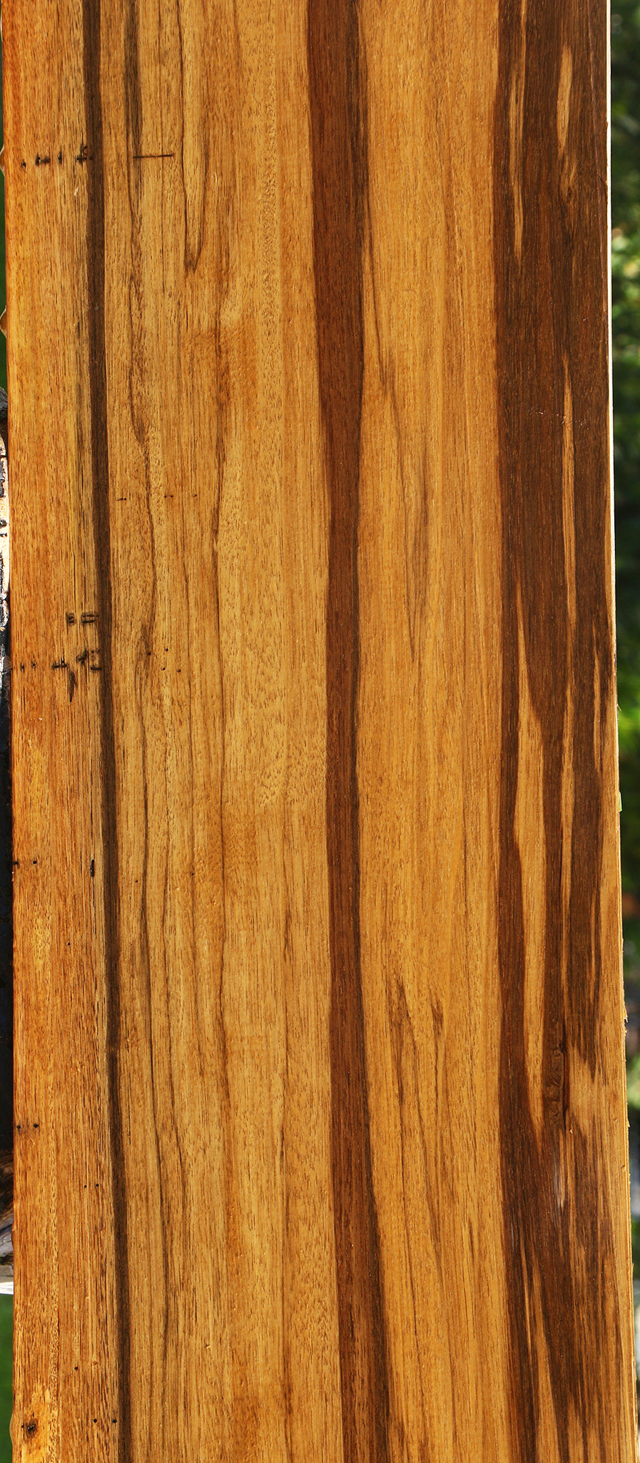 Branquilho Lumber