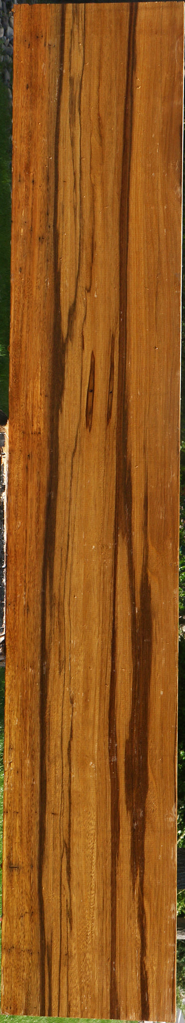 Branquilho Lumber