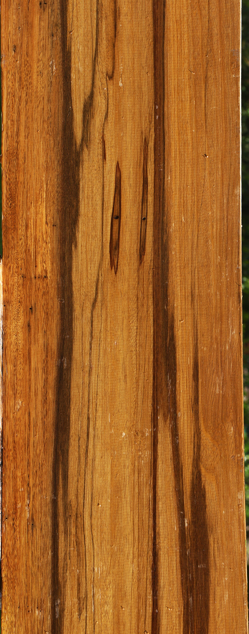 Branquilho Lumber