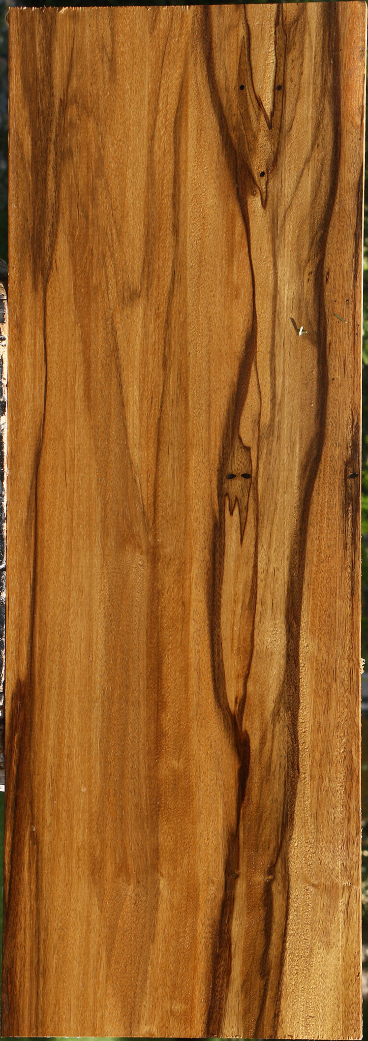 Branquilho Lumber