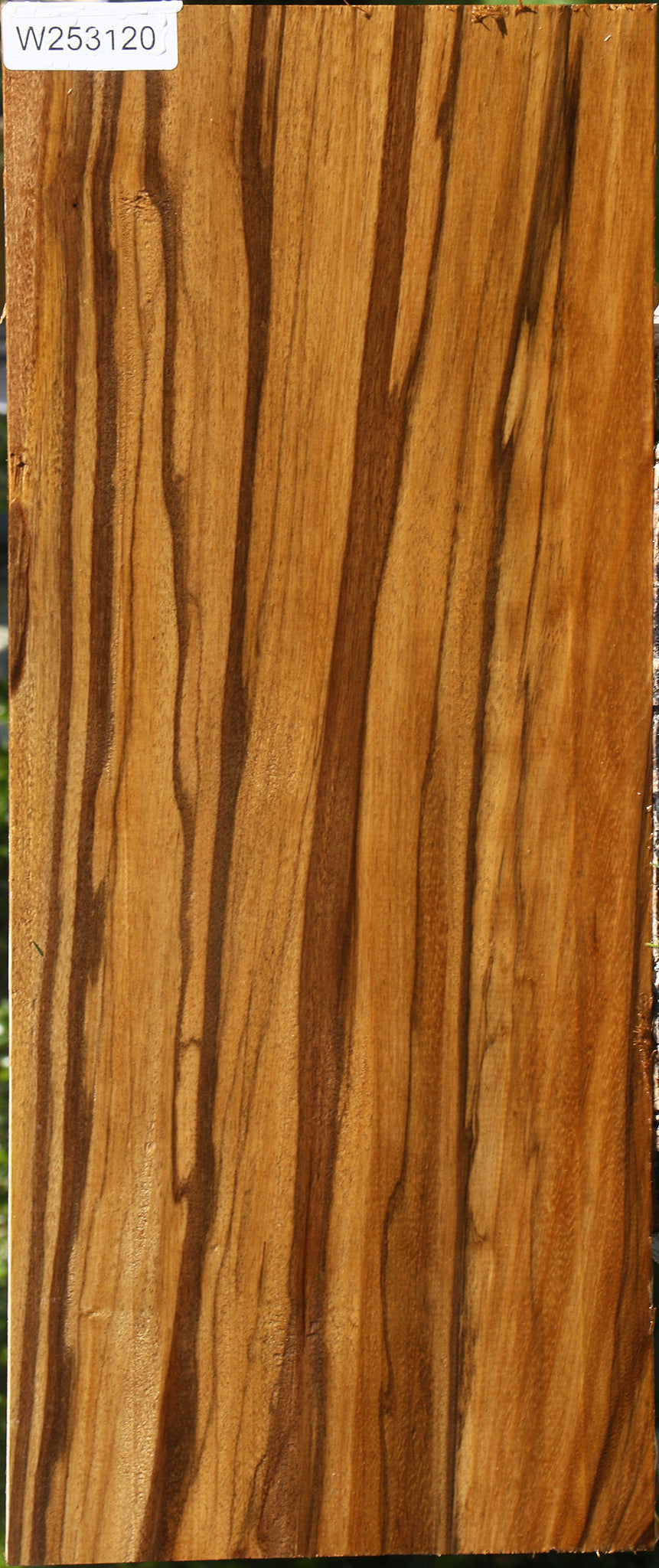 Branquilho Lumber