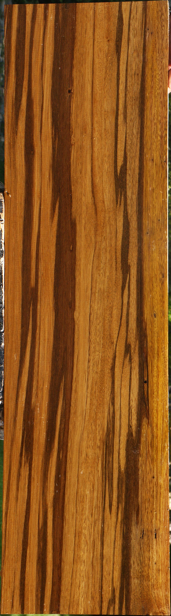 Figured Branquilho Lumber