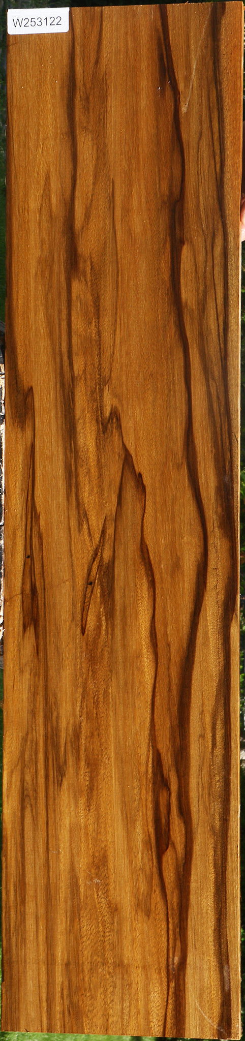 Extra Fancy Branquilho Lumber