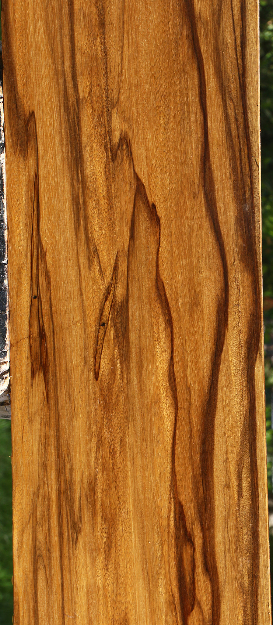 Extra Fancy Branquilho Lumber
