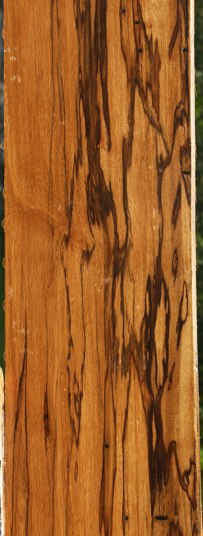 Figured Branquilho Lumber
